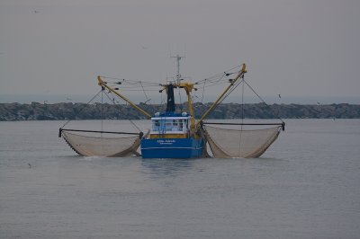 IMG_4038.jpg