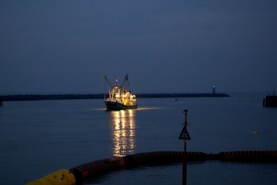IMG_8279.jpg
