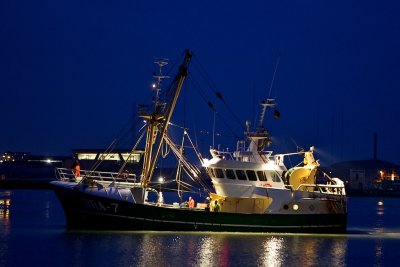 IMG_8304.jpg