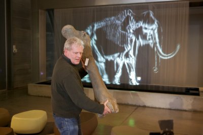 Dick Mol houdt het 1,33 meter grote dijbeen voor een 1-1 afbeelding van de wolharige mammoet