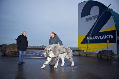 Dick Mol en Remie Bakker voor Futureland, Maasvlakte w