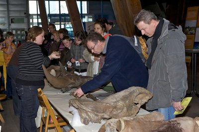Bij de WPZ stand is ook veel belangstelling