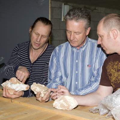 Remie, Wilrie en Luc bestuderen een aantal fossiele schedels van roofdieren uit China