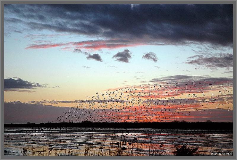 DSC_3430.jpg marshland clouds3.jpg d.jpg