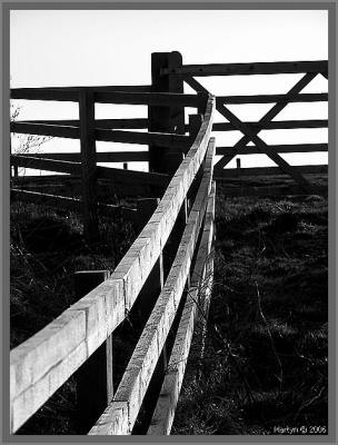 100_0936.jpg Fence Southport Marsh.jpg