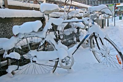 Snowy Bicycle