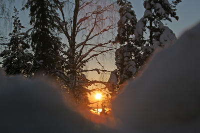 snowbanktreesunset.