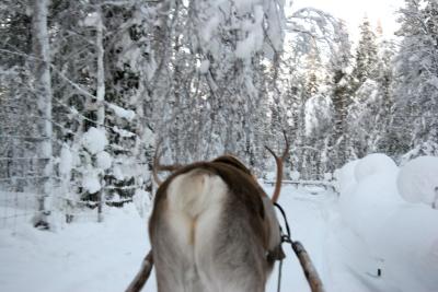 blur sleigh Ride