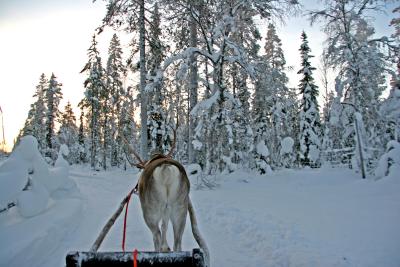 Sleigh Ride2