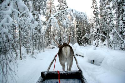 g3/04/527904/3/56430836.sleighRideContrastBest.jpg