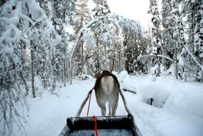 Sleigh Ride