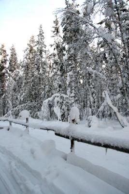 g3/04/527904/3/56430837.sleighrail.jpg