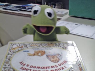 Frog reading a book