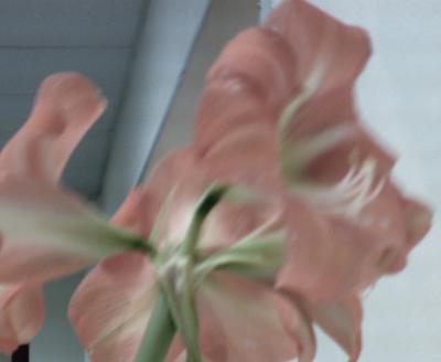 tcstudent_gallery