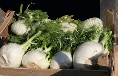 PalermoMarketFennel5_8