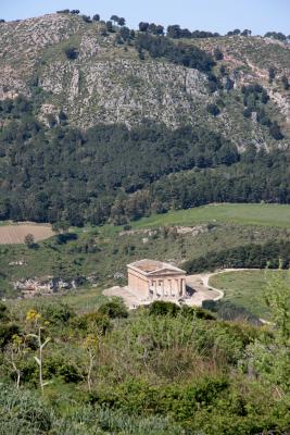 Doric Temple View