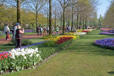 Keukenhof, Gardens
