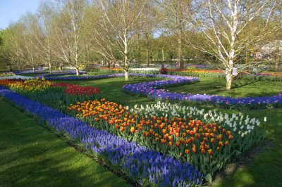 Keukenhof, Gardens