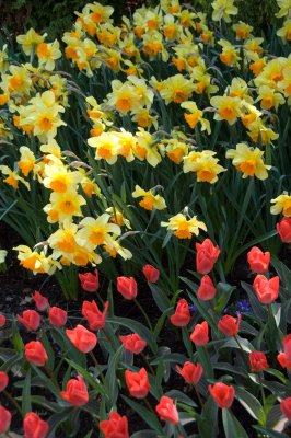 Keukenhof, Gardens