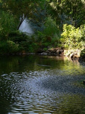 P1000436RS.jpg