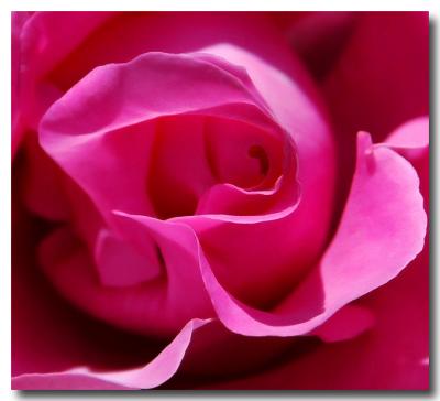 g3/04/549504/3/52858992.PinkWaves.jpg