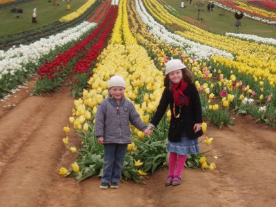 Grandma Tulip Farm 1.JPG