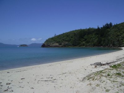 Walks around Lindeman Island 11.JPG