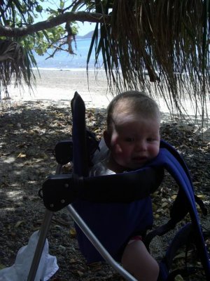 g3/04/556104/3/120286016.tPSZW0dQ.jpg