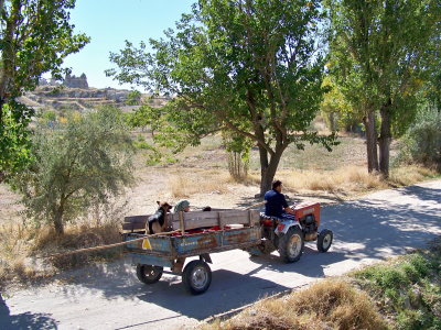 Zemi Valley