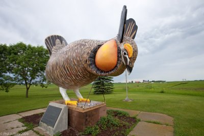 Booming Prairie Chicken statue