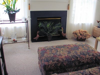 Fire Place and Brass & Glass Tea Cart