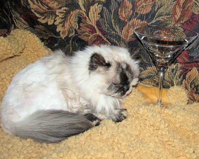 Sasha and Martini Glass