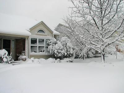 Front Yard.