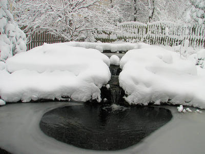 Big Pond Stream