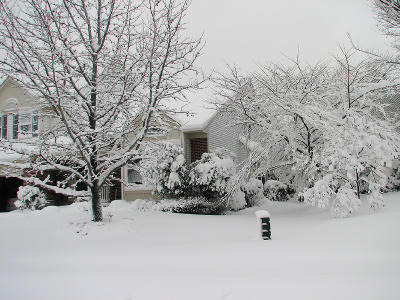 Side yard 2
