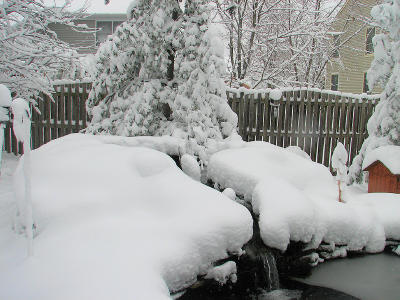 Small pond stream