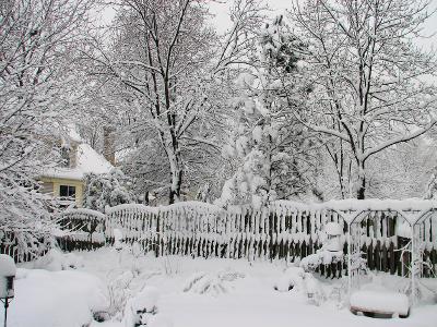 Backyard Arbor and Bench