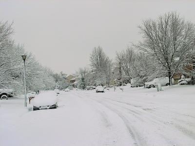 Summerfield2