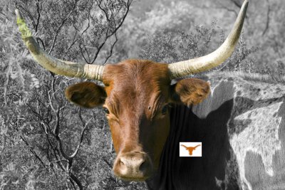 UT Logo