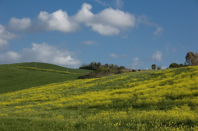 Colline Toscane