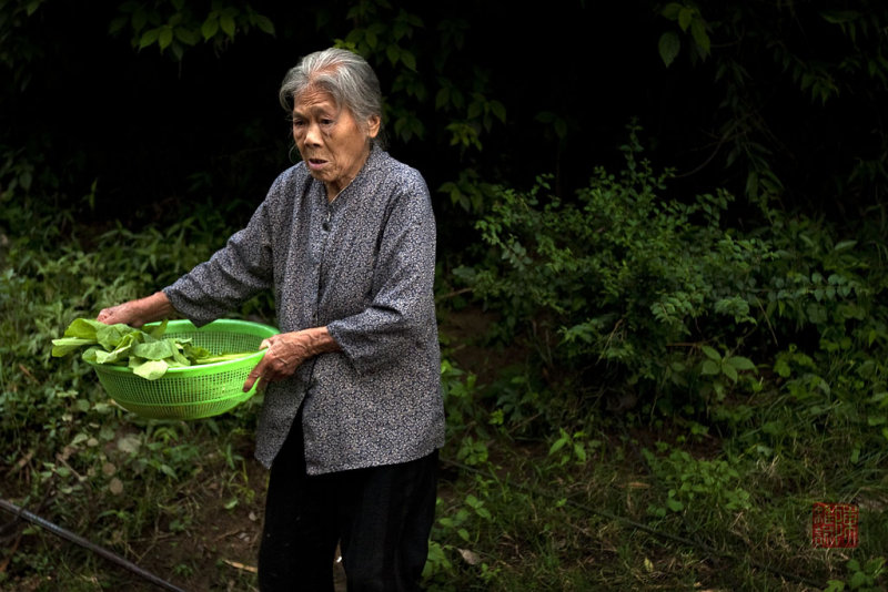 Elderly lady with vegetables, Xing Ping, GuangXi, China.