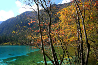 Five Flower Lake, Jiuzhaigou
