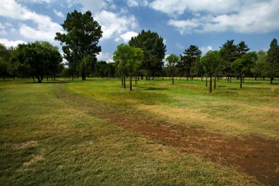 Grasslands