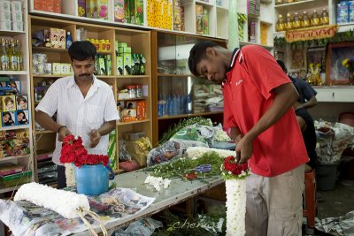 Florist at Little India (7499)