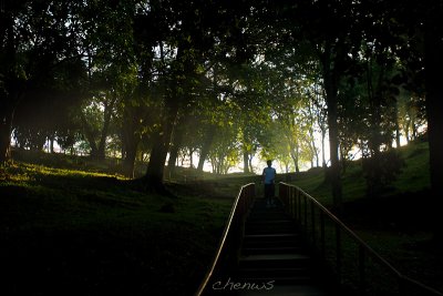 Bukit Cina in the morning mist