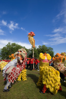 Lion dance performance (8290)