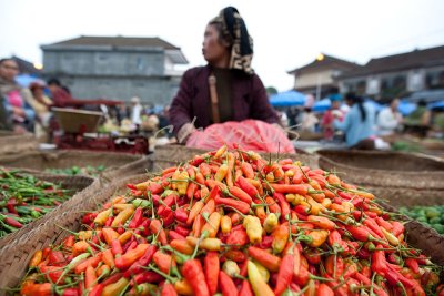 Red hot chili pepper (Bali)