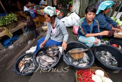 Fishmonger (Bali)