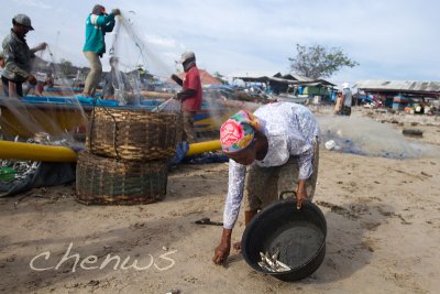 Nothing is wasted, scavenging the bits and pieces on the beach _MG_3698.jpg