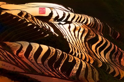 Terraced rice fields (China)